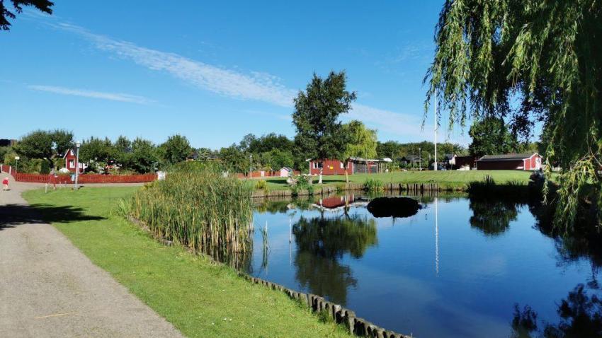 Sjön i koloniområdet